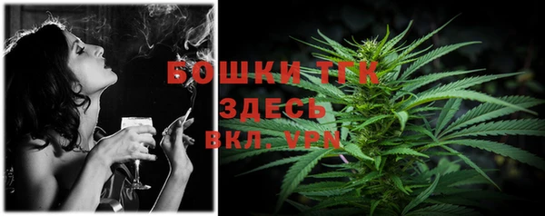 индика Наволоки
